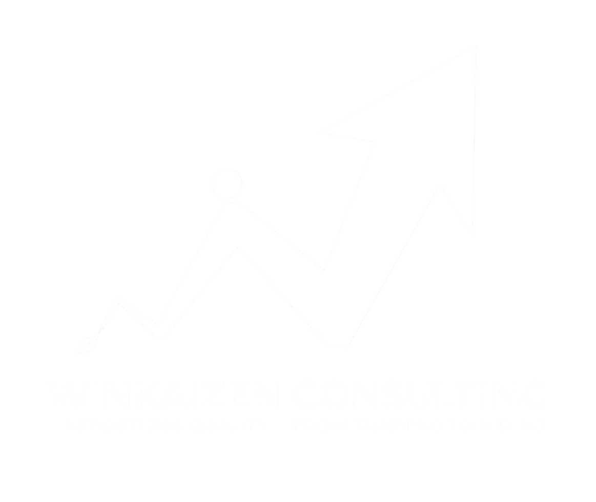 Winkaizen Consulting | Lean six sigma
